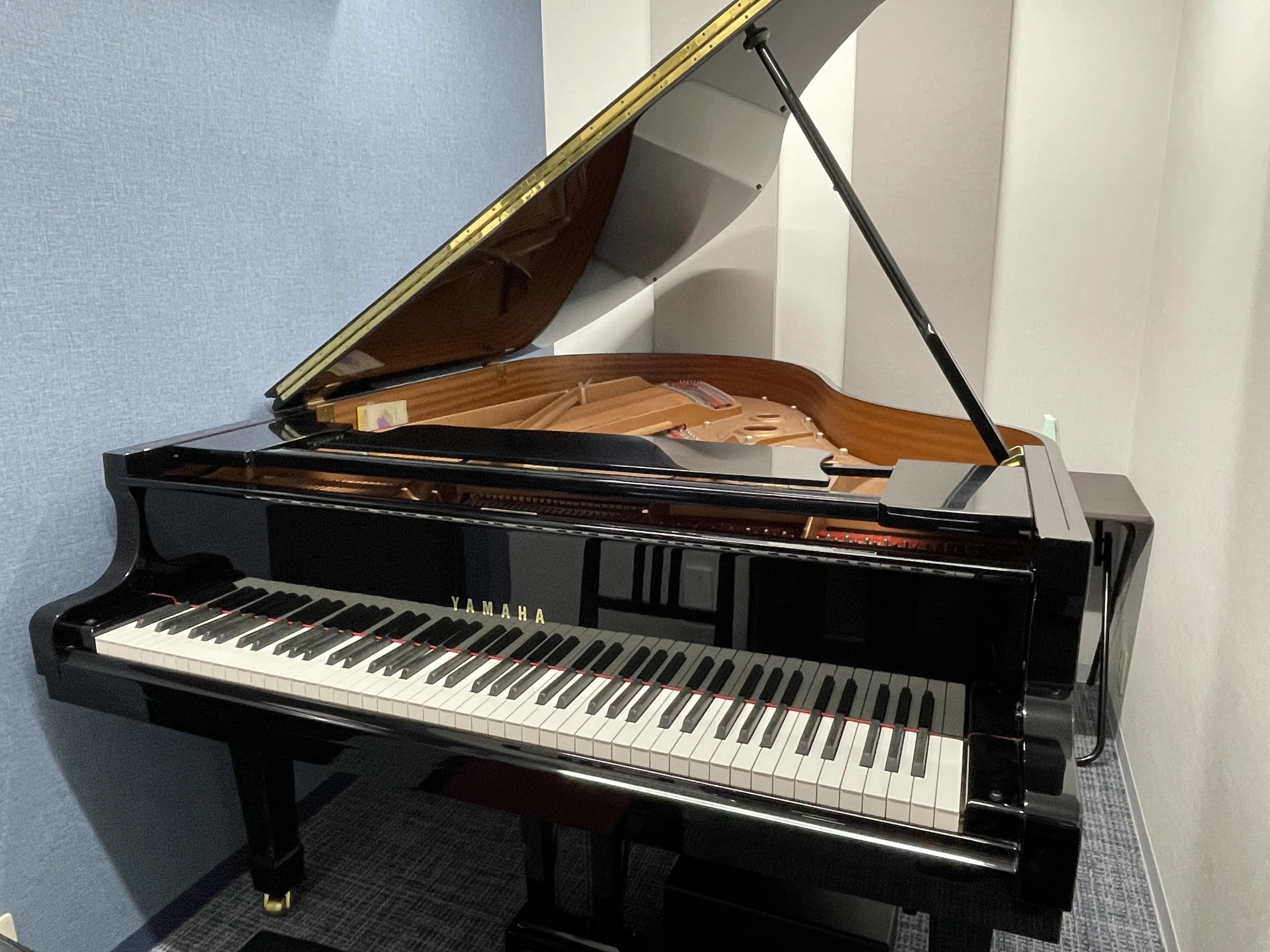 スガナミ楽器 ボーカル・ボイストレーニング 町田センターのサムネイル画像 2