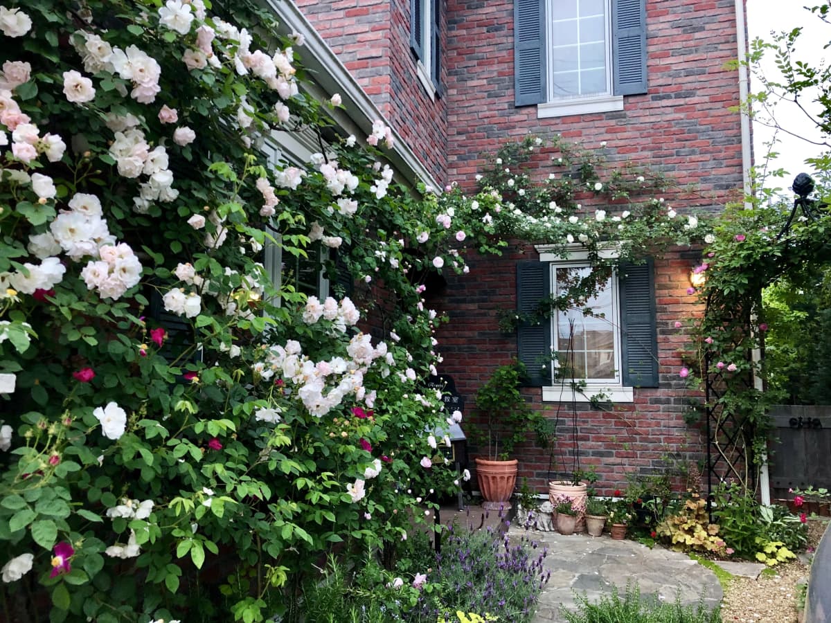 サムネイル画像 6