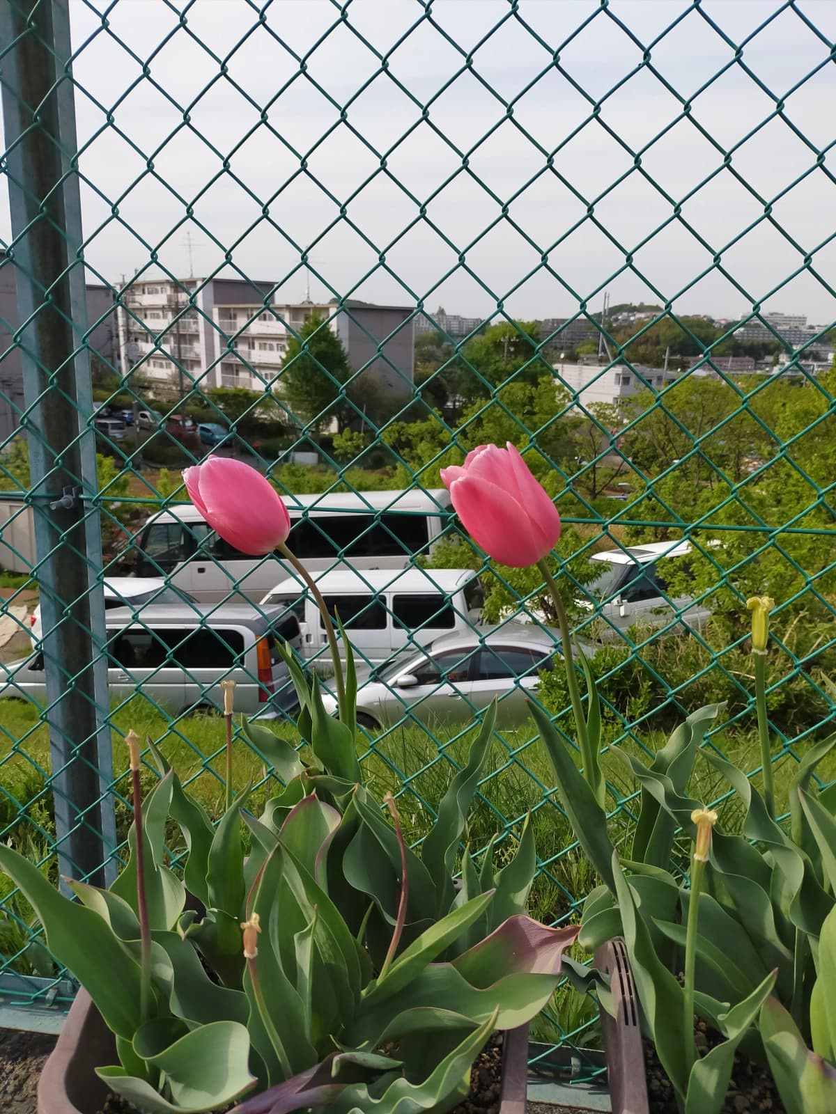 サムネイル画像 3