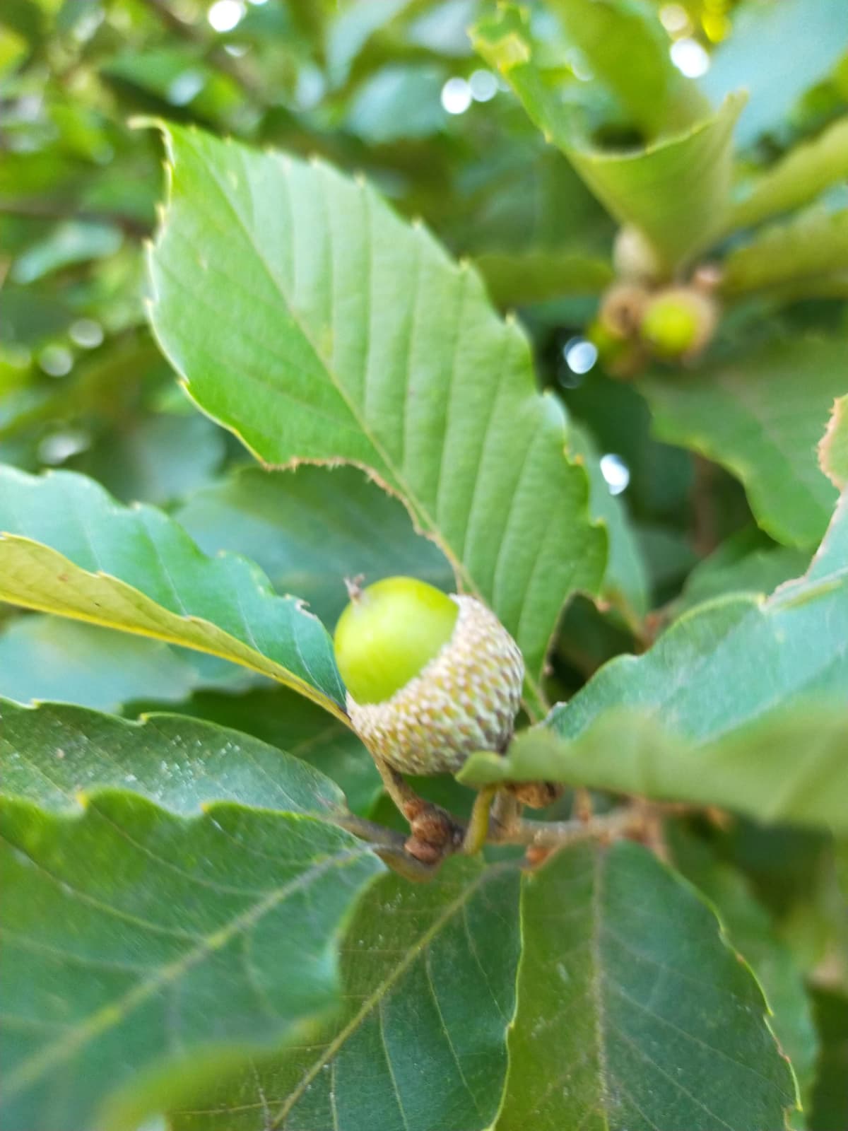 サムネイル画像 4