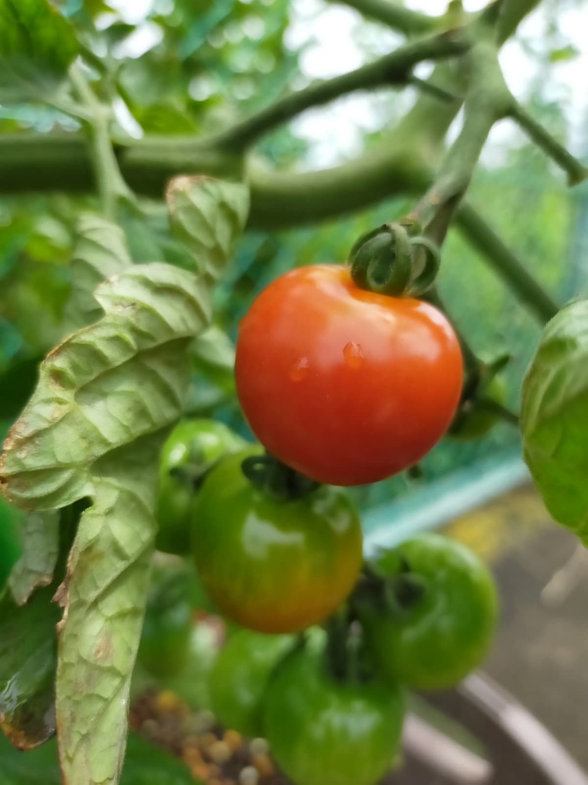 サムネイル画像 6