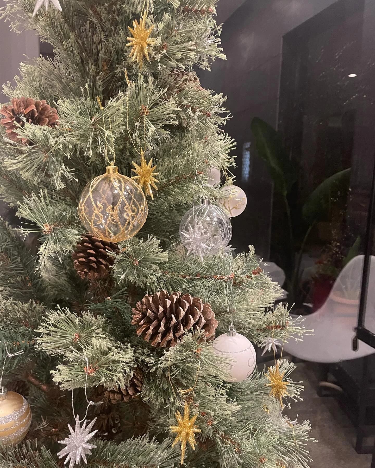 リリアーレ音楽教室 ボーカル・ボイストレーニング 東菅野教室 画像 25