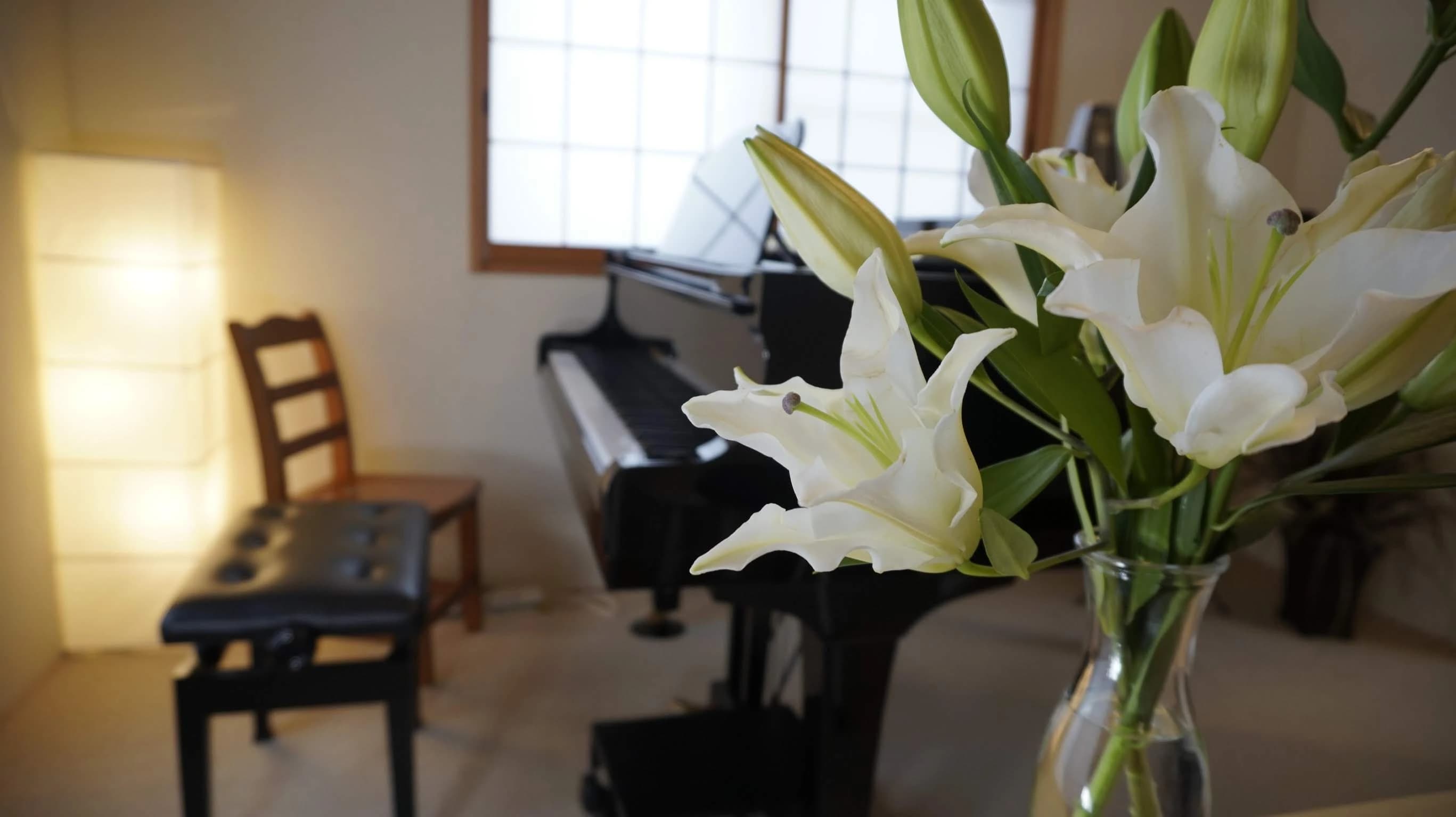 リリアーレ音楽教室 ボーカル・ボイストレーニング 東菅野教室 画像 41