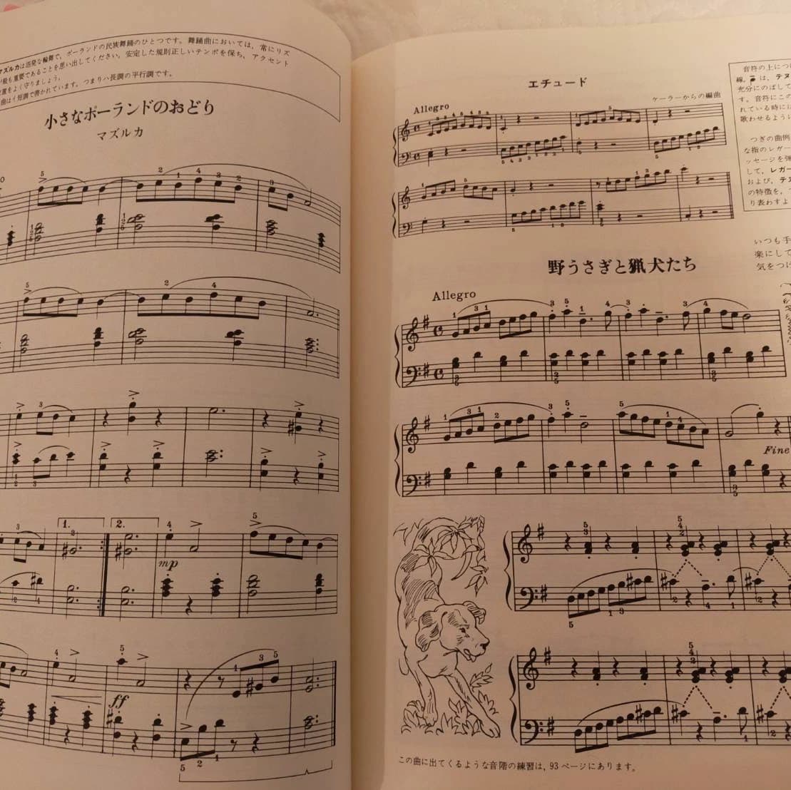 リリアーレ音楽教室 ボーカル・ボイストレーニング 東菅野教室 画像 53