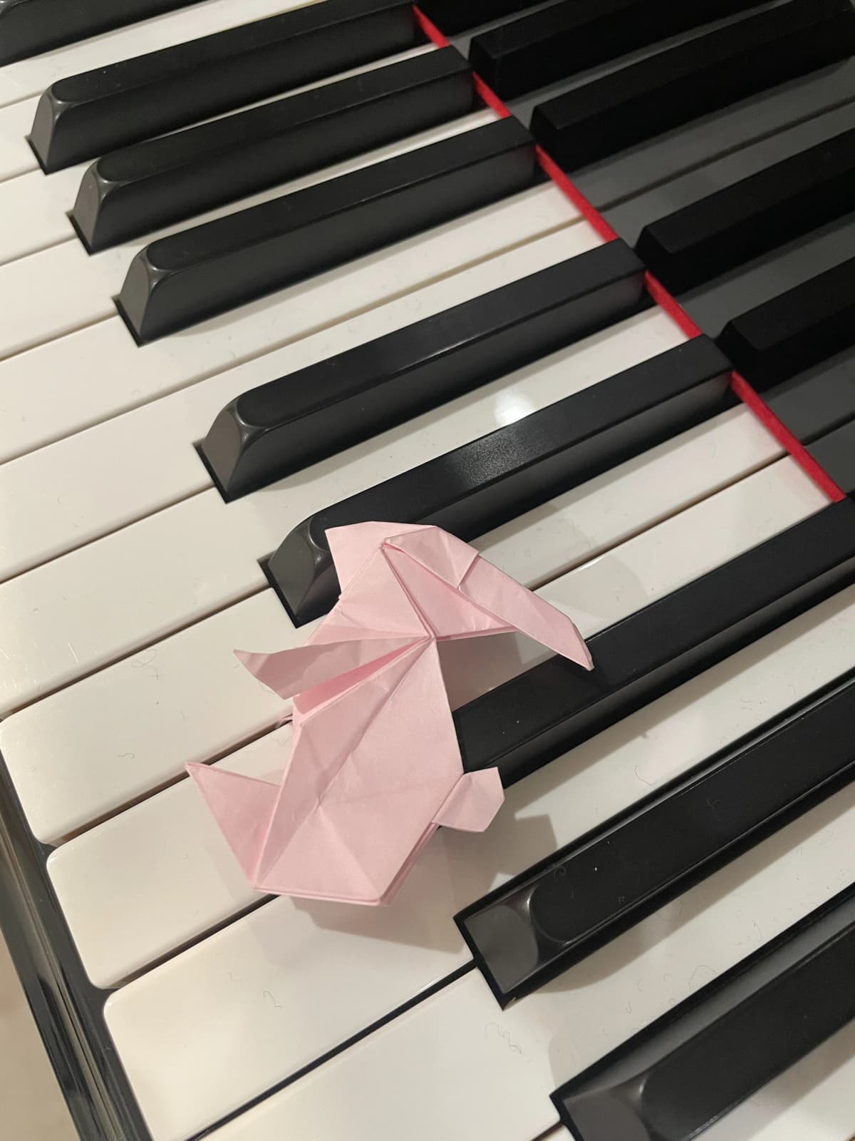 リリアーレ音楽教室 ボーカル・ボイストレーニング 東菅野教室 画像 57