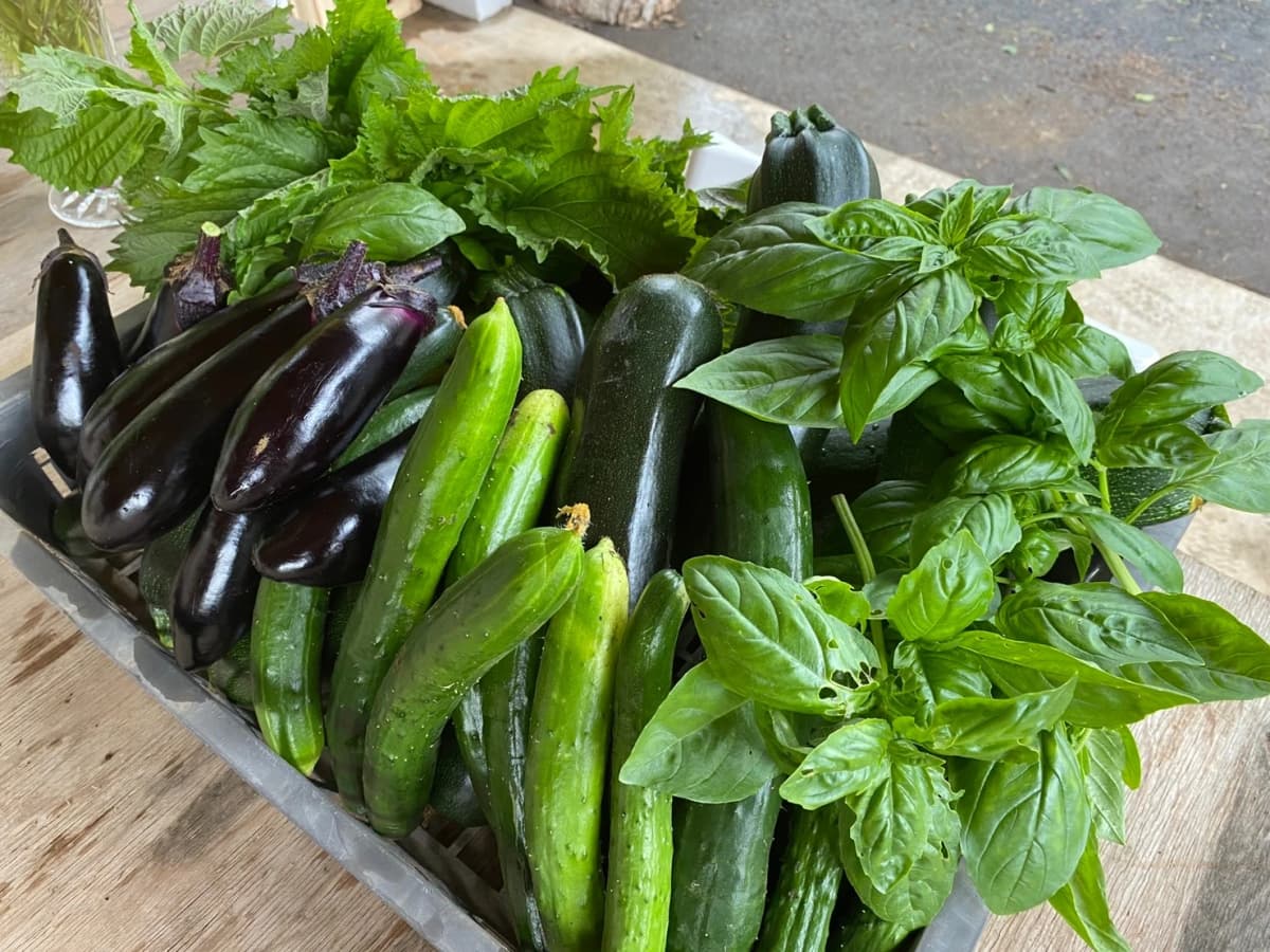 サムネイル画像 6