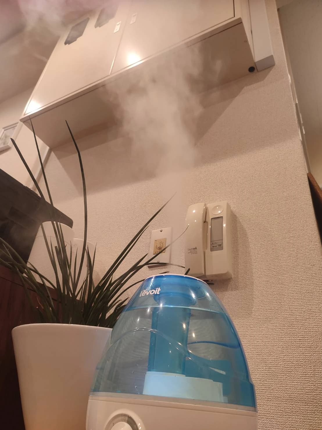 NAYUTAS ボーカル・ボイストレーニング 名古屋（栄）校 画像 18