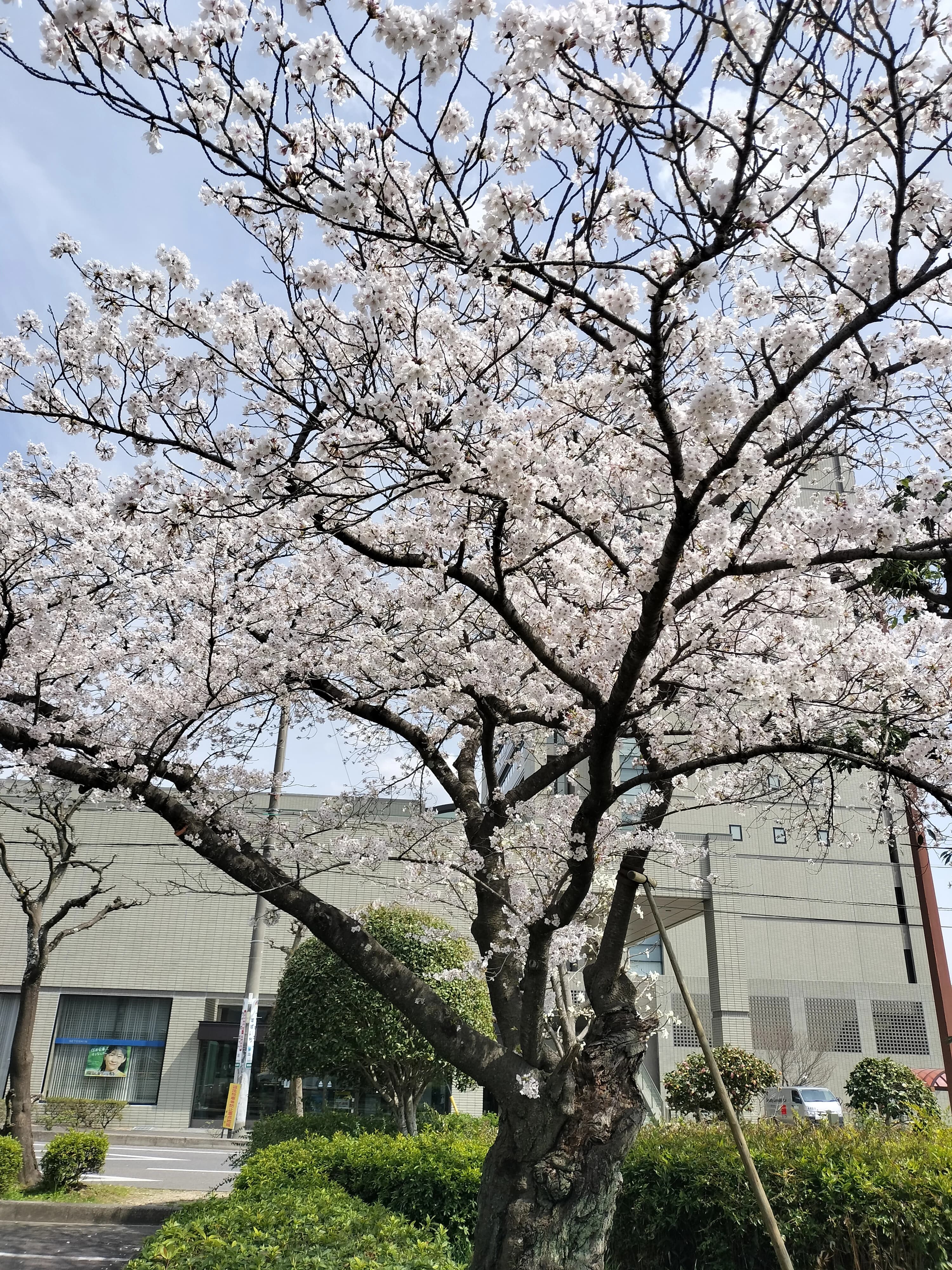 アンダンテ音楽教室 声楽 瀬戸市教室のサムネイル画像 5