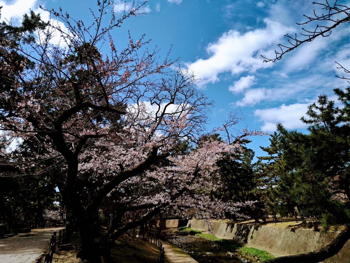 サムネイル画像 3