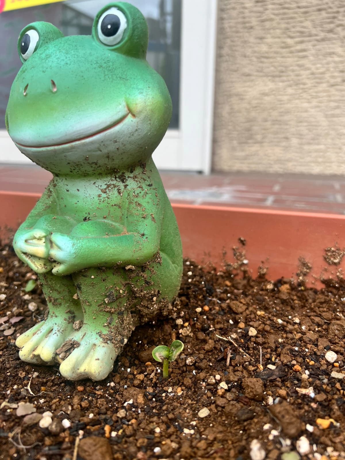 ママネーナの学校　板橋区役所前教室のサムネイル画像 4