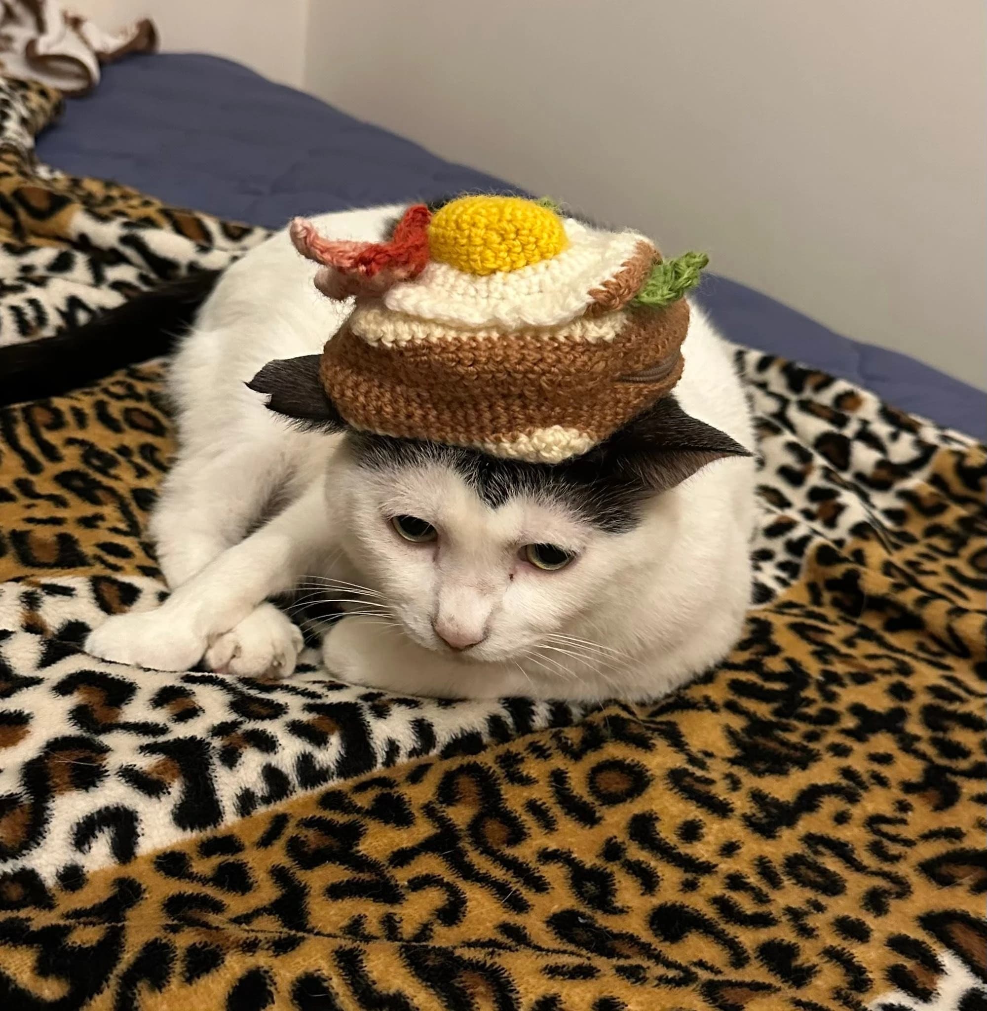 セレクトーン ギター スタジオセラフィのサムネイル画像 2