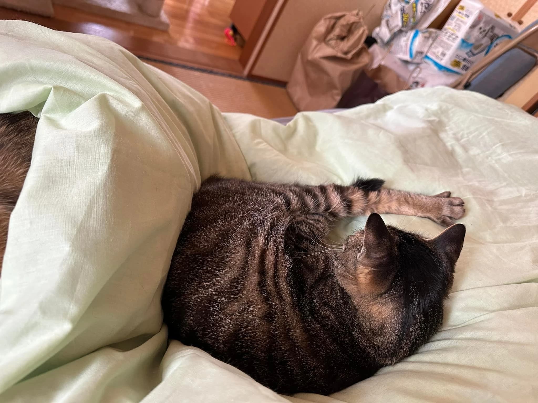 セレクトーン ギター スタジオセラフィのサムネイル画像 3