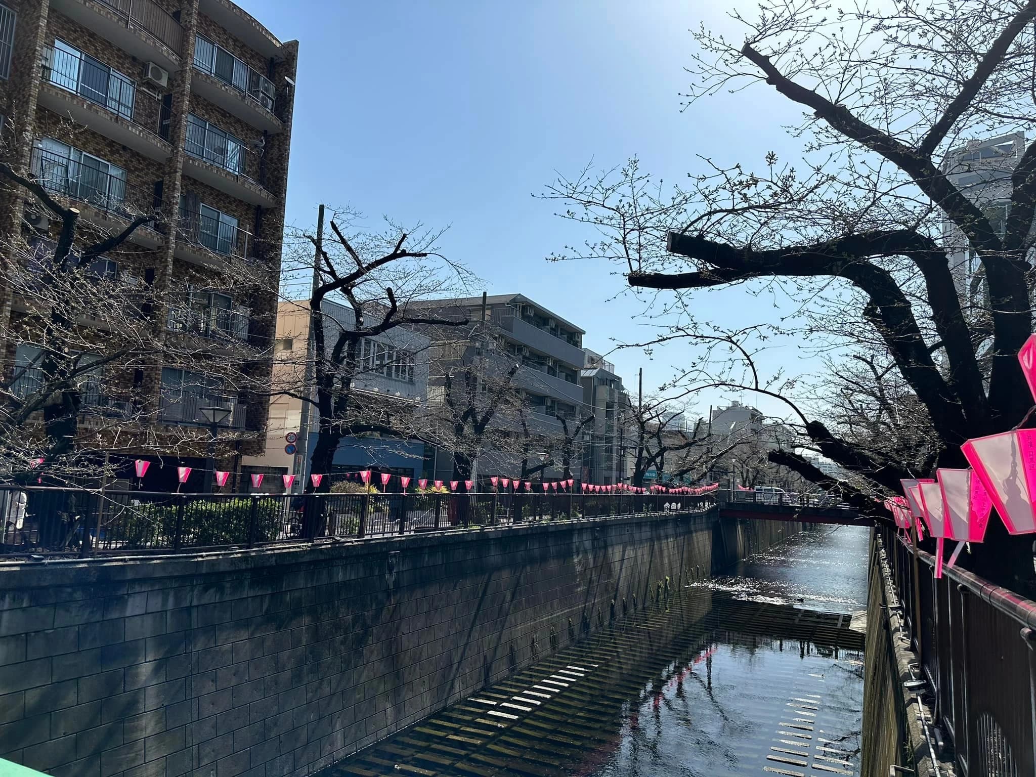 セレクトーン ギター スタジオセラフィのメイン画像