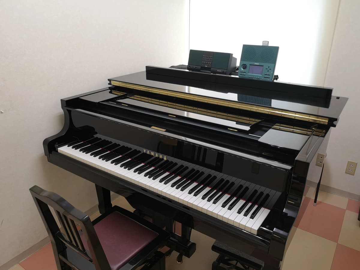 スガナミ楽器 ギター 三軒茶屋センター 画像 21