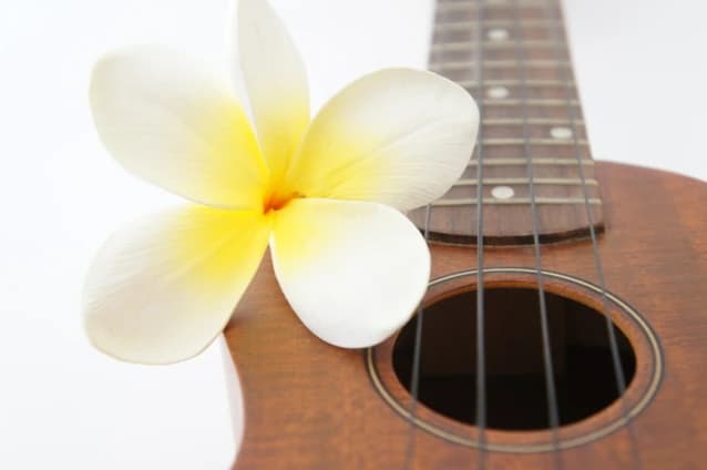 プライム音楽教室 ギター 相模大野教室のサムネイル画像 2