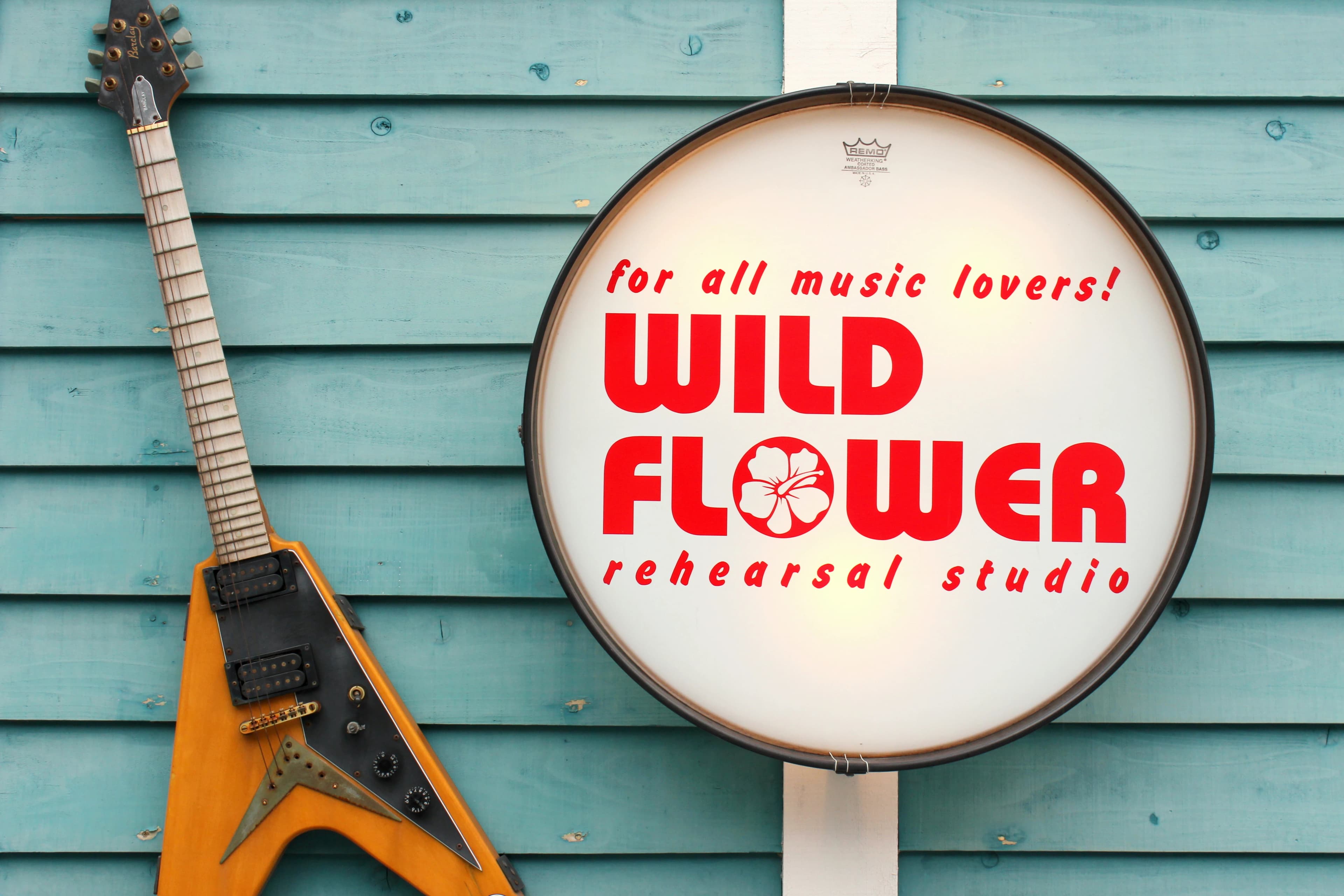 セレクトーン ギター ワイルドフラワースタジオ行徳のサムネイル画像 3