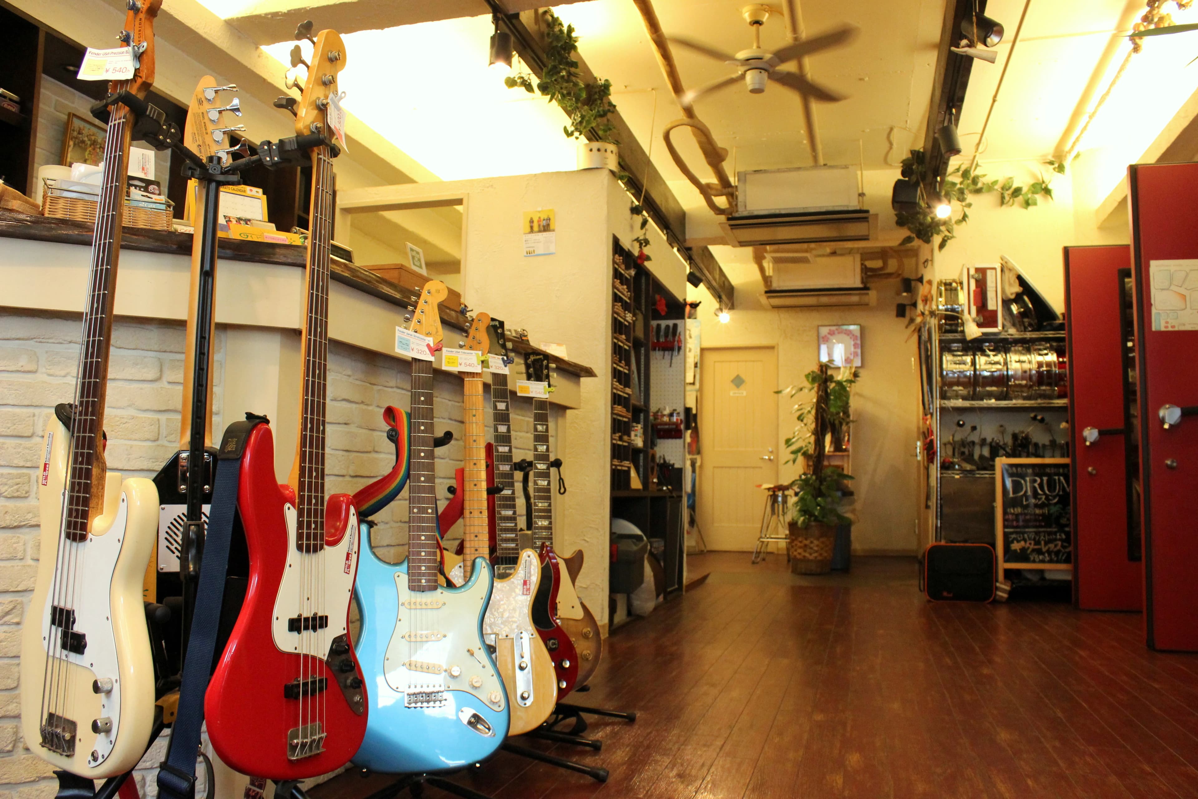 セレクトーン ギター ワイルドフラワースタジオ行徳のメイン画像