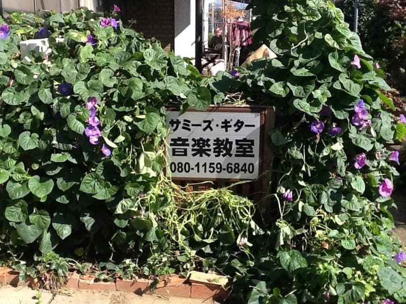 サムネイル画像 3