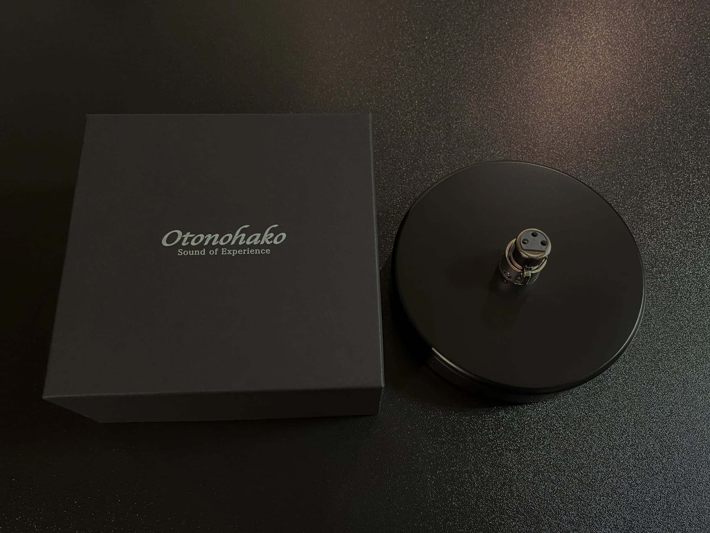 OTONOHAKO(オトノハコ)音楽教室 ギター 加茂教室 画像 10