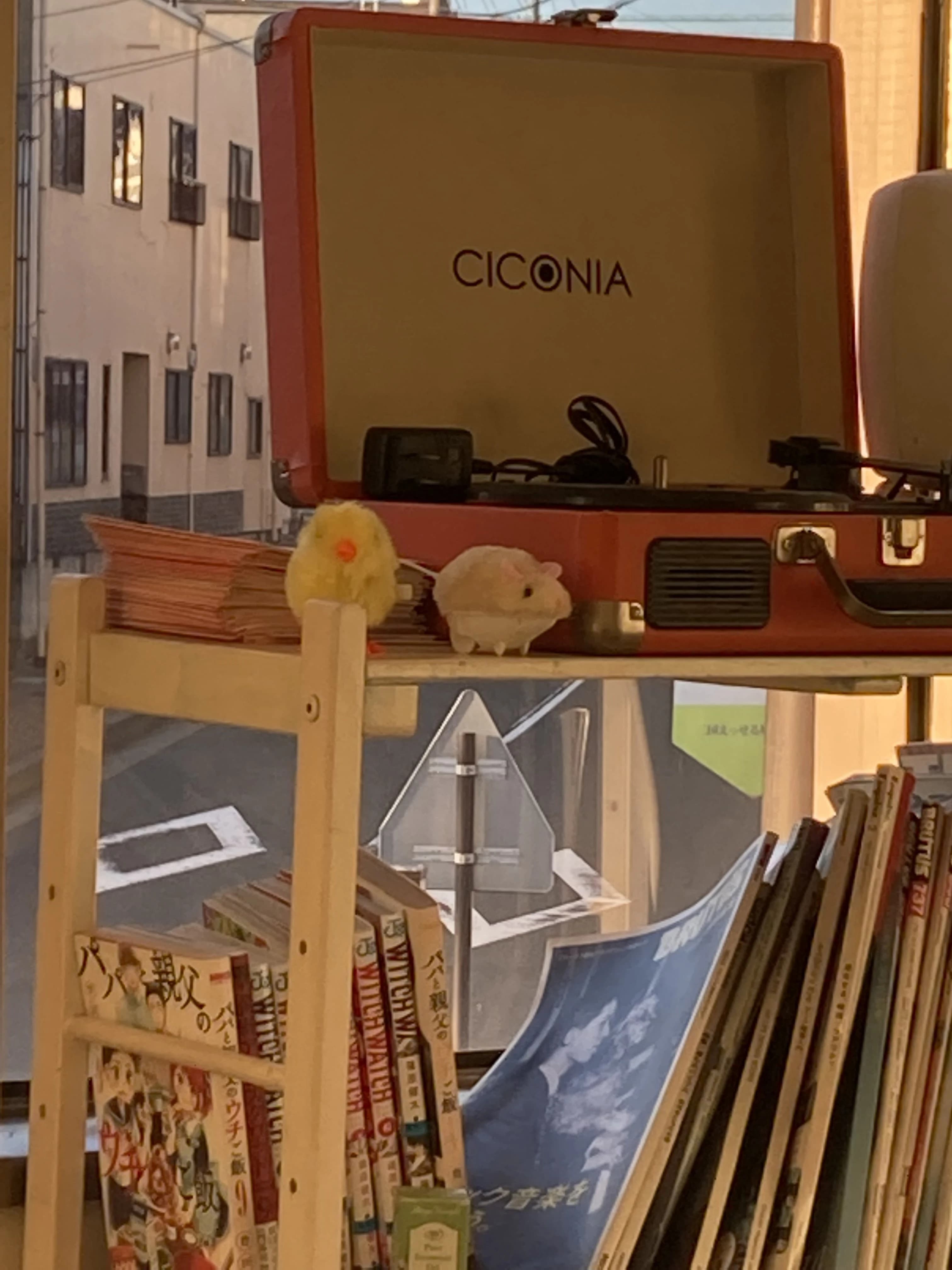 おんまえプロジェクト ギター 三国町北本町教室のサムネイル画像 2