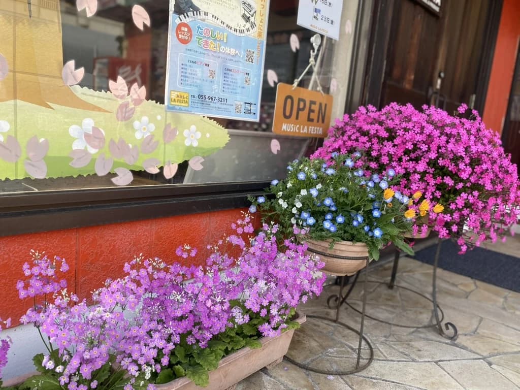 MUSIC LA FESTA ギター 鳥谷教室 画像 46