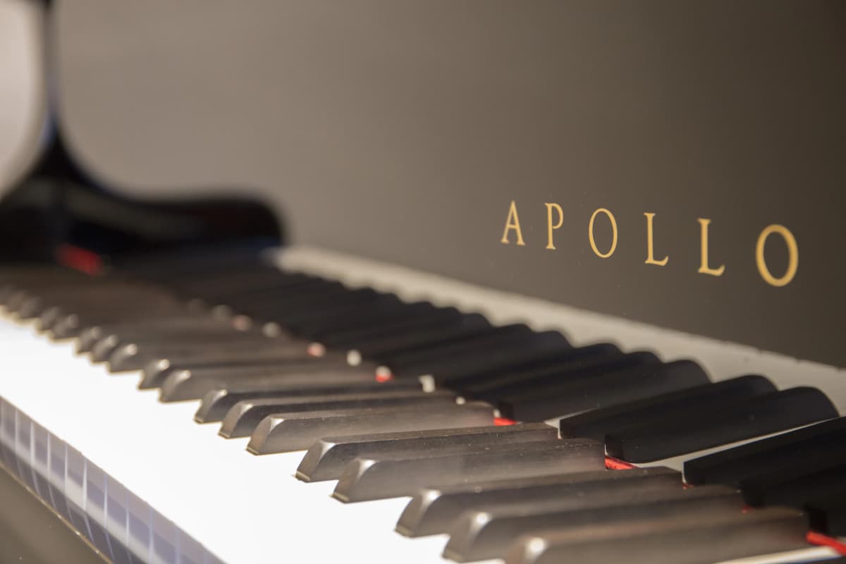 サムネイル画像 6