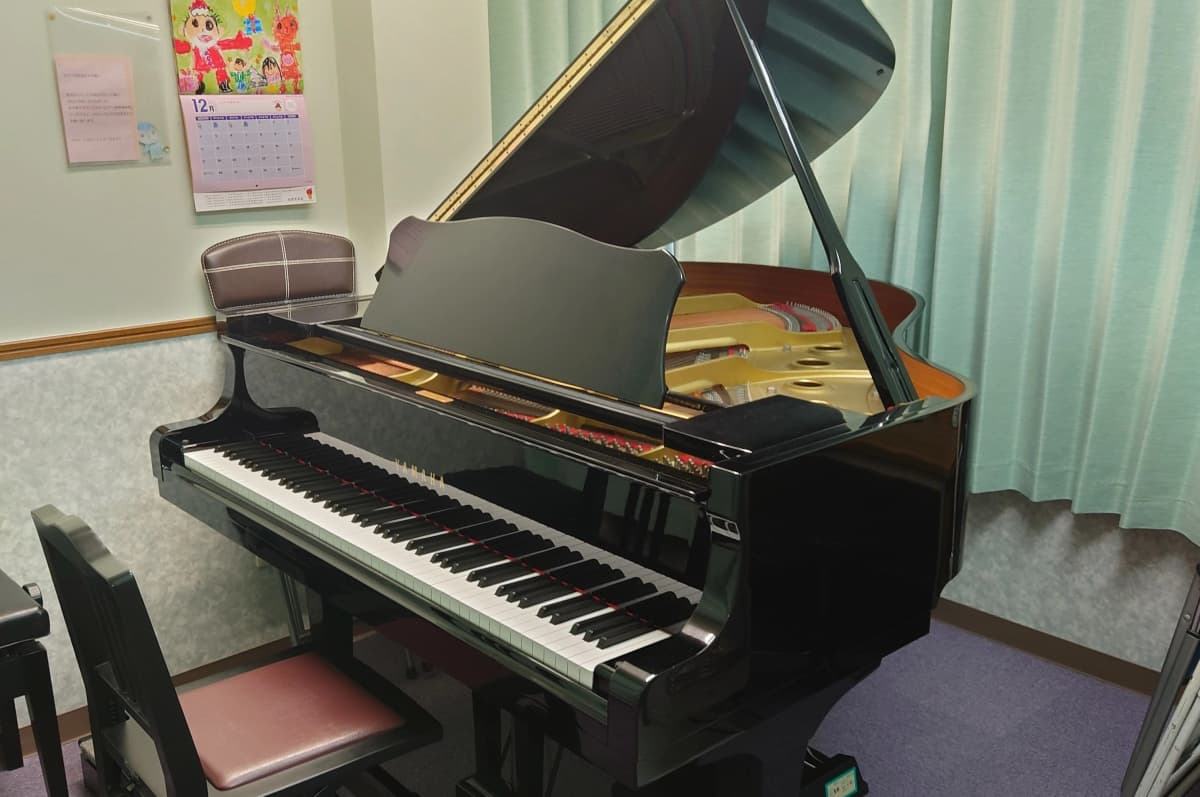 厚木楽器 ヴァイオリン アミ秦野のサムネイル画像 2