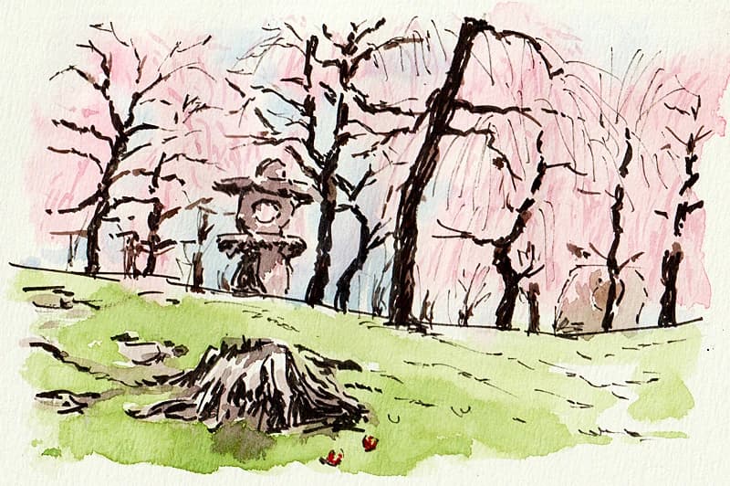 カルチャーセンター ヴァイオリン エルミ鴻巣カルチャーセンター 画像 37