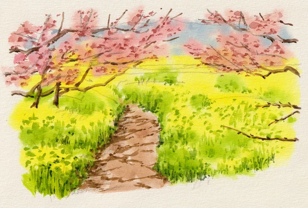 カルチャーセンター ヴァイオリン エルミ鴻巣カルチャーセンターのサムネイル画像 3