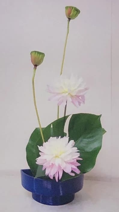 カルチャーセンター ヴァイオリン エルミ鴻巣カルチャーセンターのサムネイル画像 5