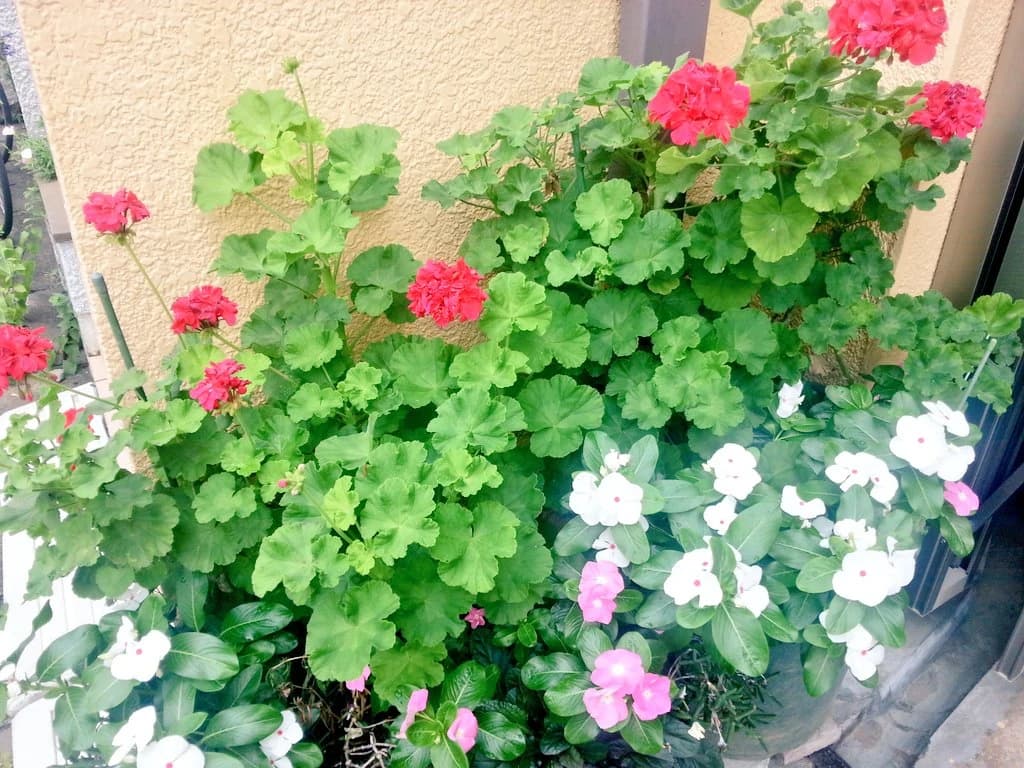 サムネイル画像 5