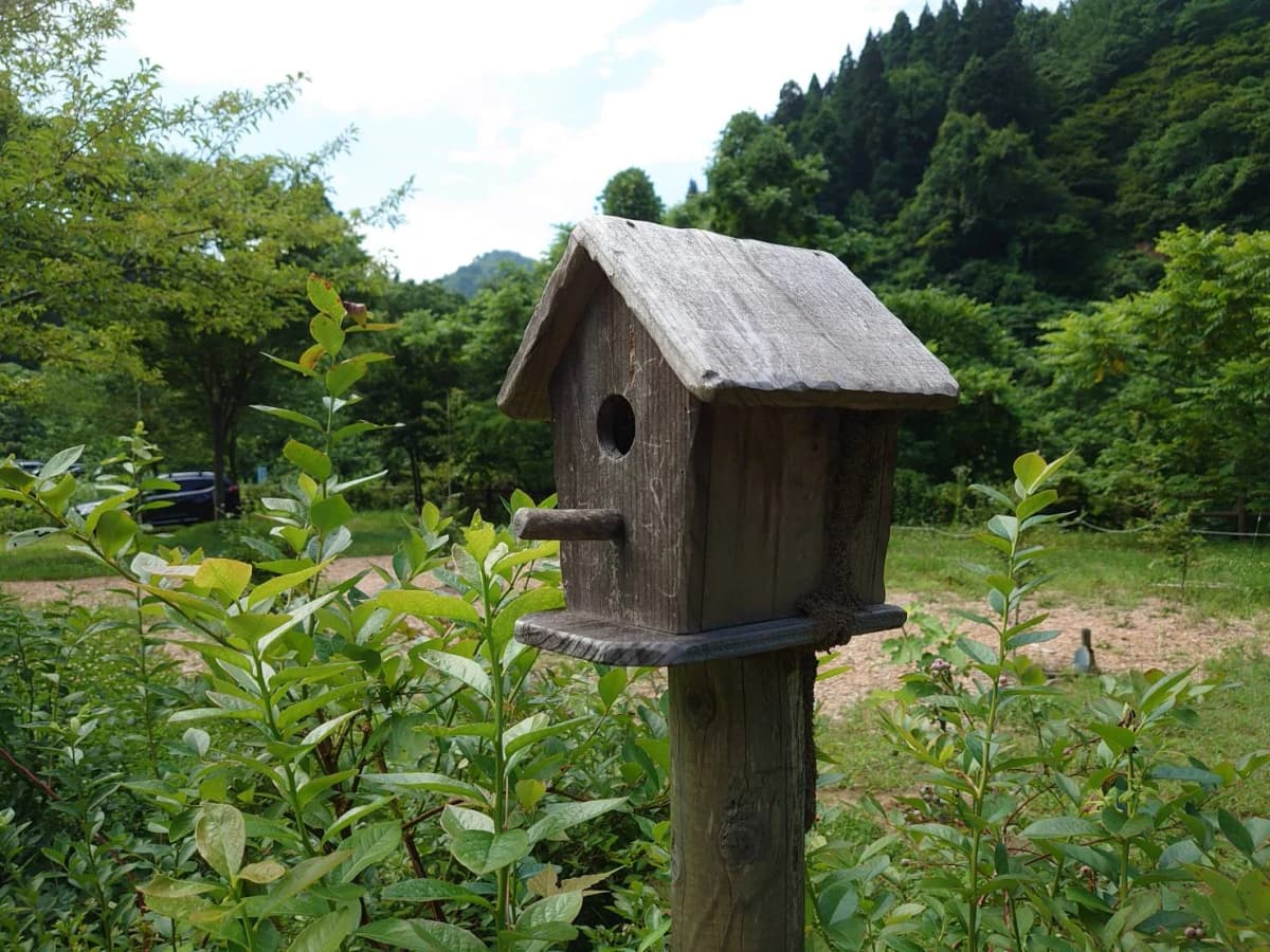 サムネイル画像 3